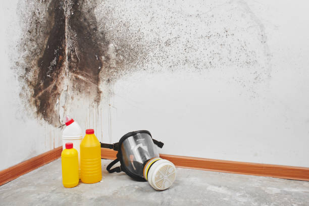 Best Crawl Space Mold Removal  in Pawnee, OK