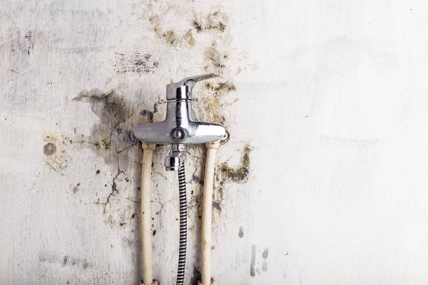 Best Mold Damage Repair  in Pawnee, OK