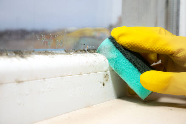 Best Mold Testing  in Pawnee, OK