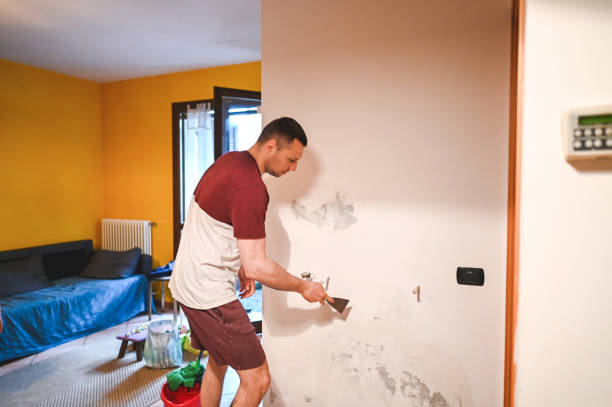 Best Commercial Mold Removal  in Pawnee, OK