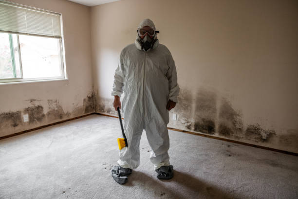 Best Mold Damage Repair  in Pawnee, OK