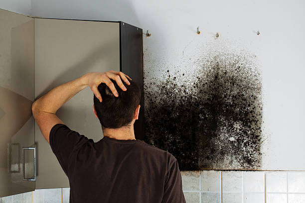 Best Residential Mold Removal  in Pawnee, OK